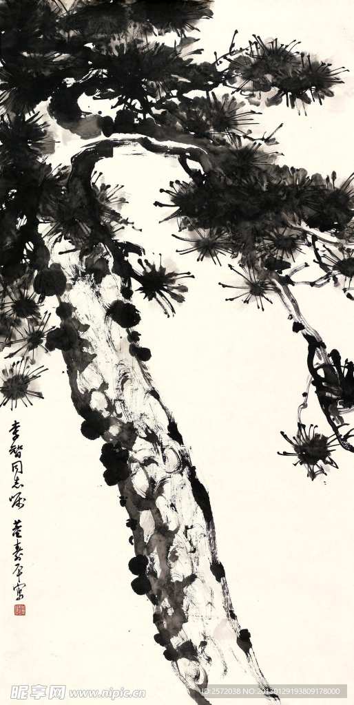 苍松