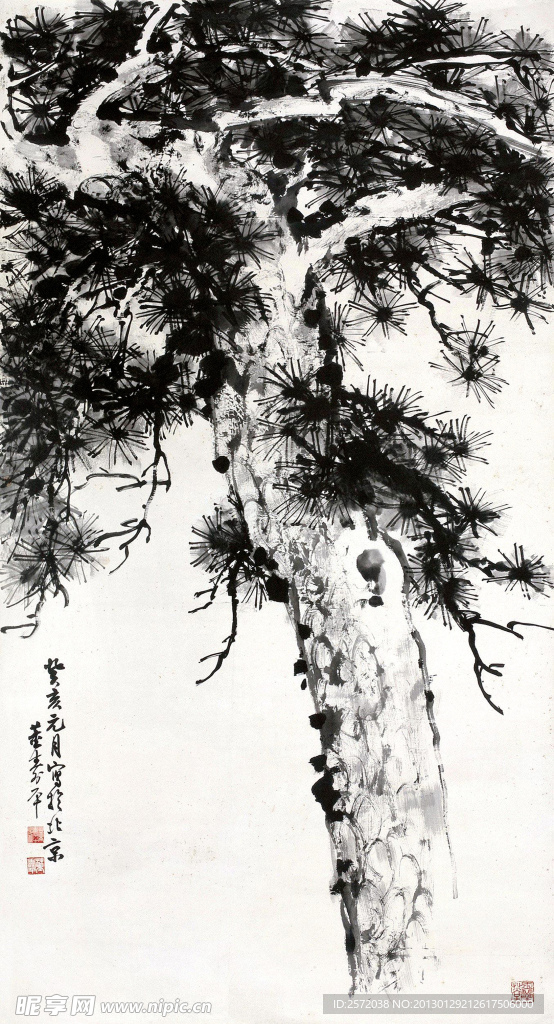 南山松
