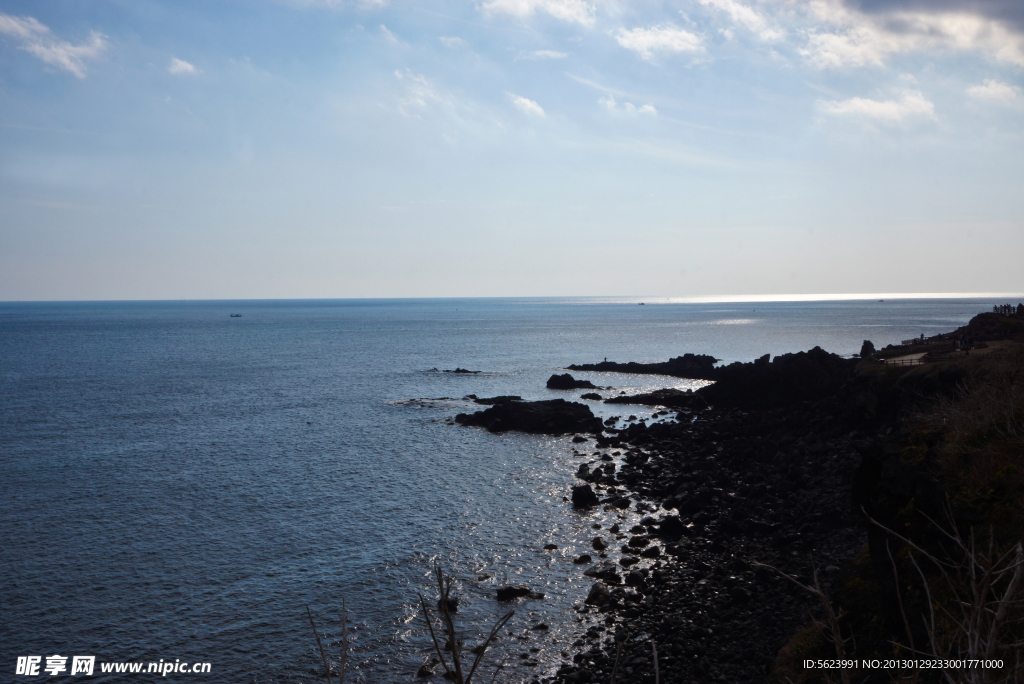 大海
