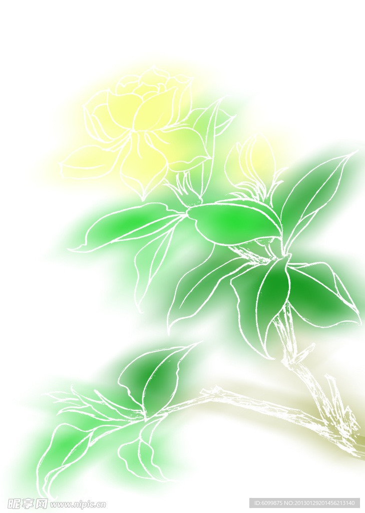 枙子花