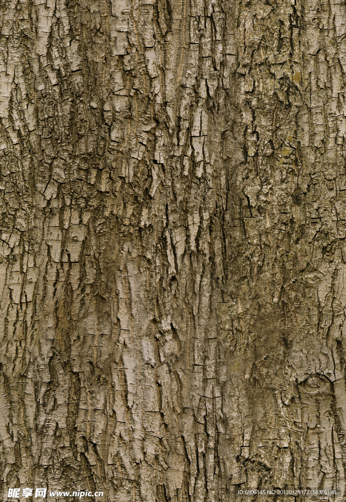 树皮木纹贴图