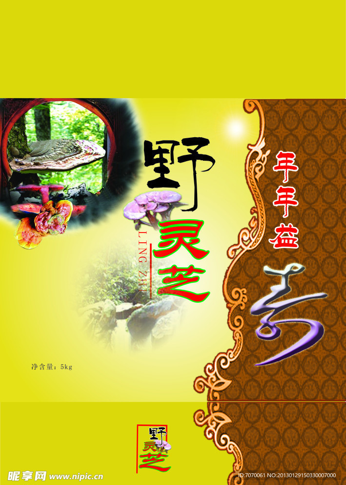 灵芝盒设计
