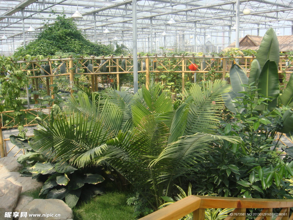 温室花草展示