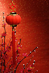 精美春节图片