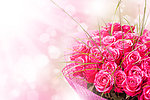 玫瑰花