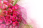玫瑰花