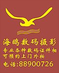 海鸥照相馆