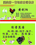 家禽出售名片