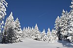 冬日雪景