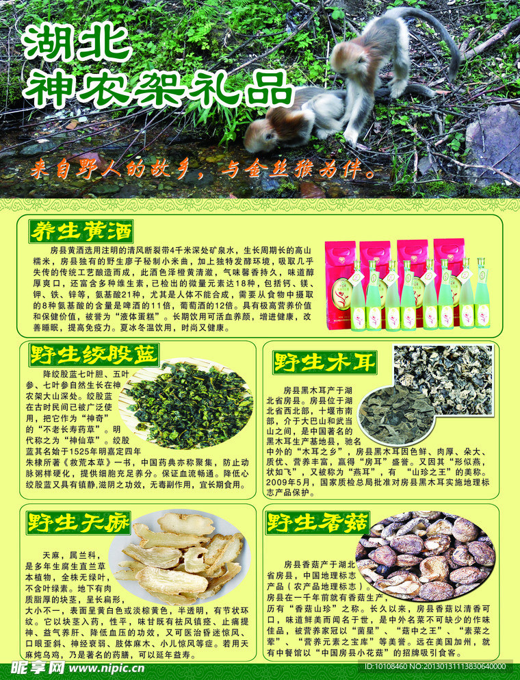 神农架宣传