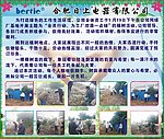 植树节宣传