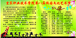 艺术节