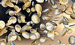金钱