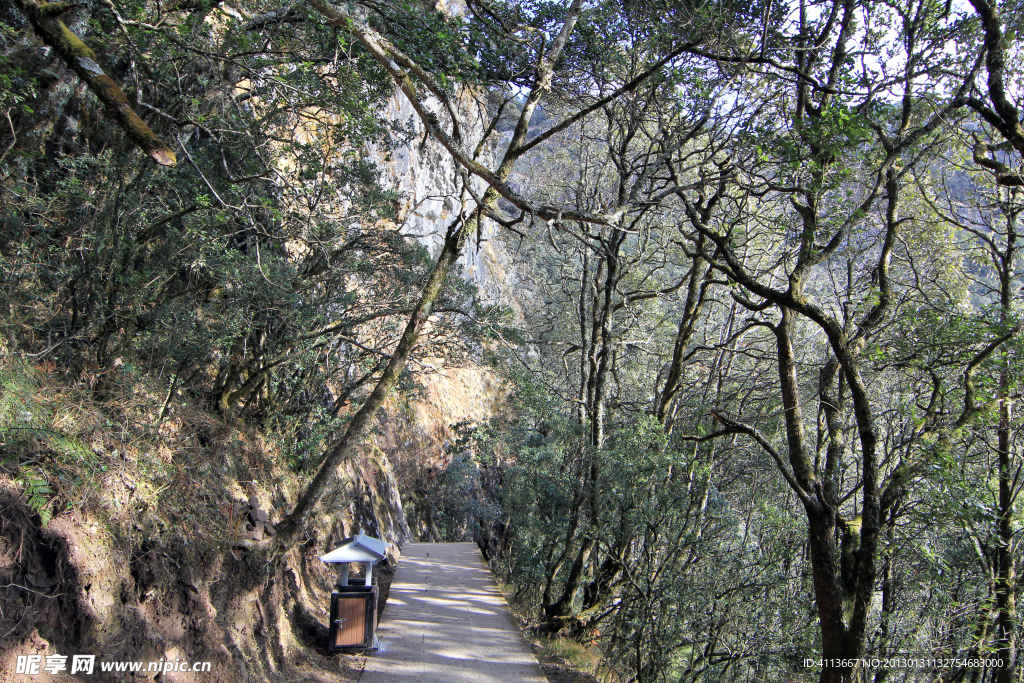 鸡足山风景