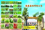 汽车美容传单