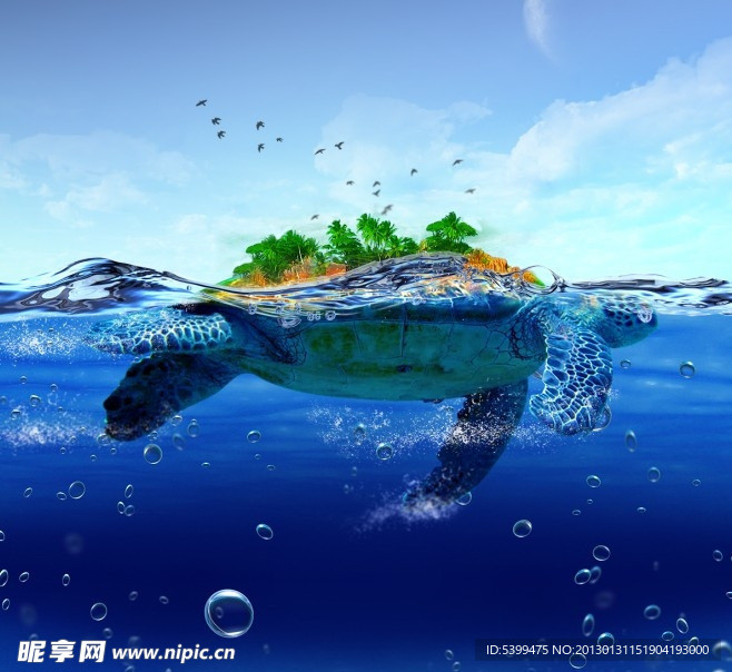 海洋中的龟岛