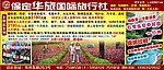华旅 旅游 旅行社