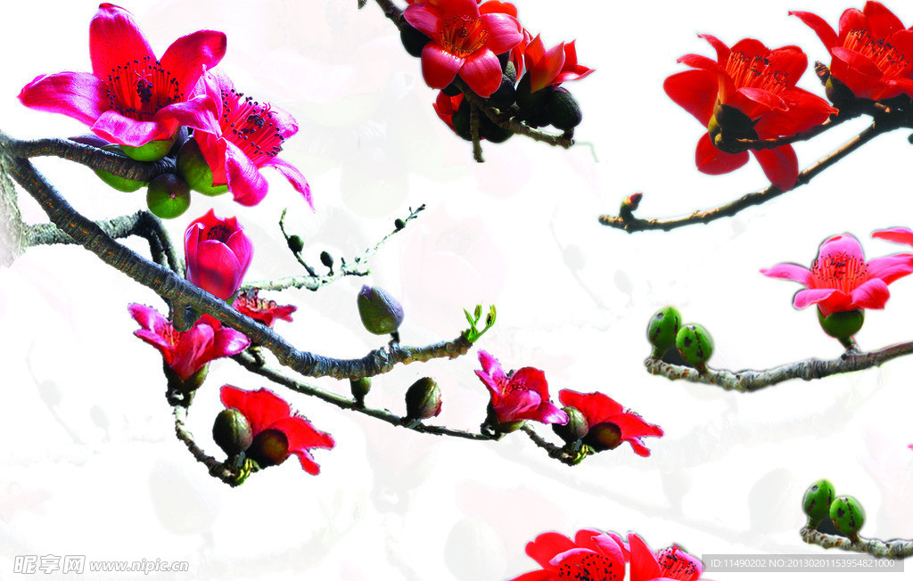 木棉花集
