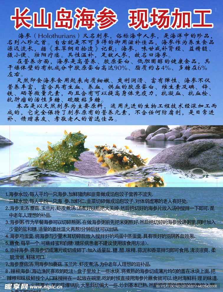 长山岛海参