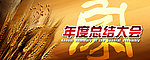 年度总结大会