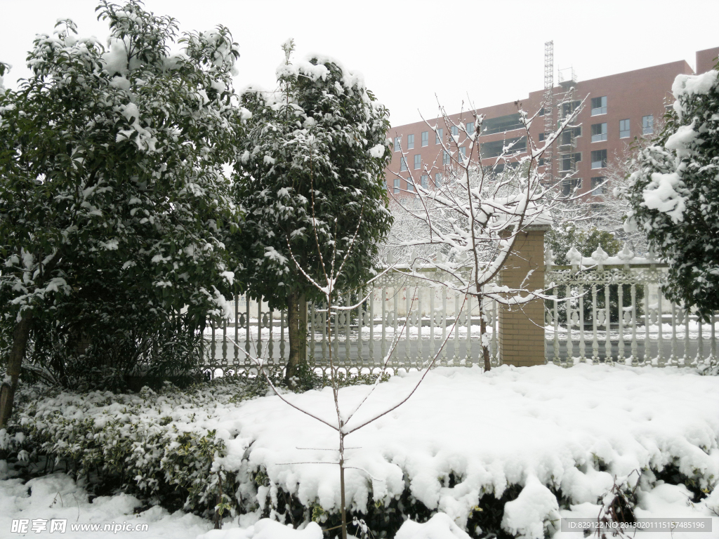 雪景