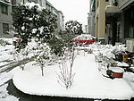 雪景