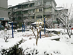 雪景