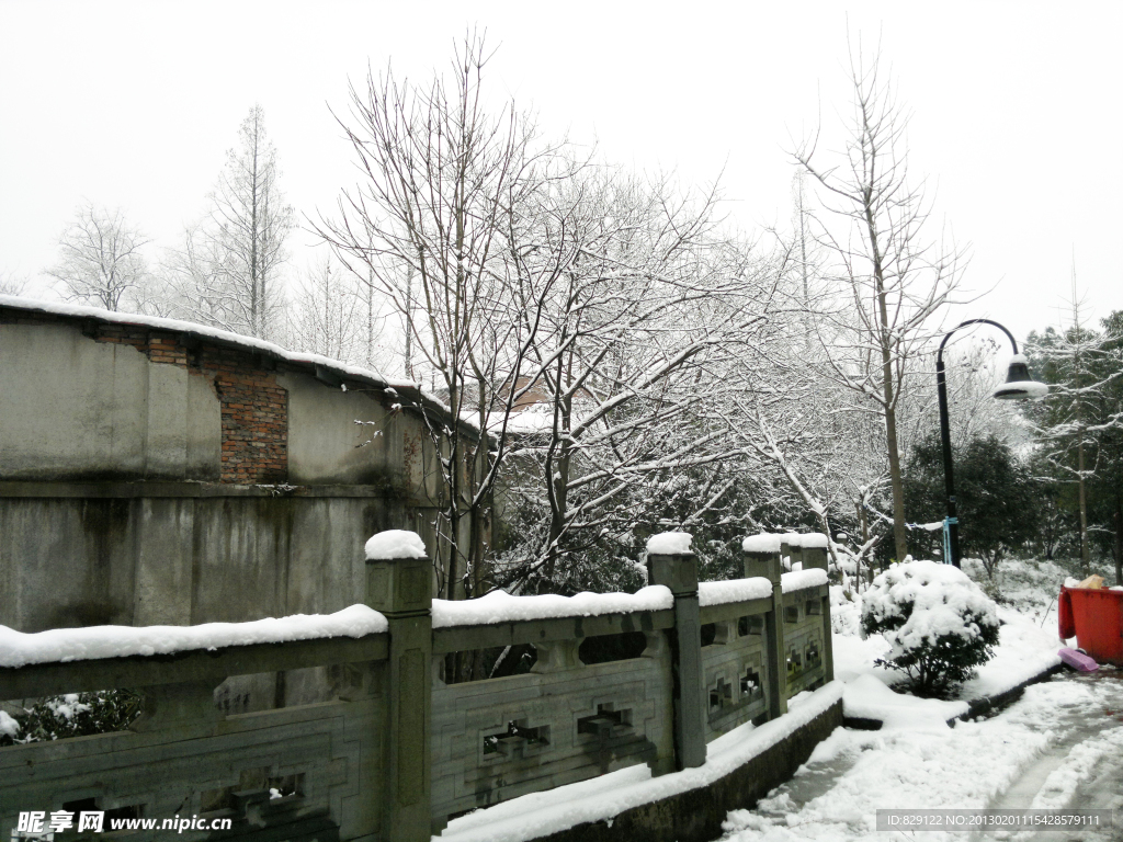 雪景