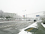 雪景
