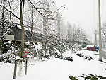 雪景