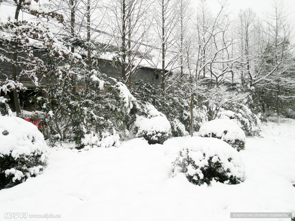 雪景