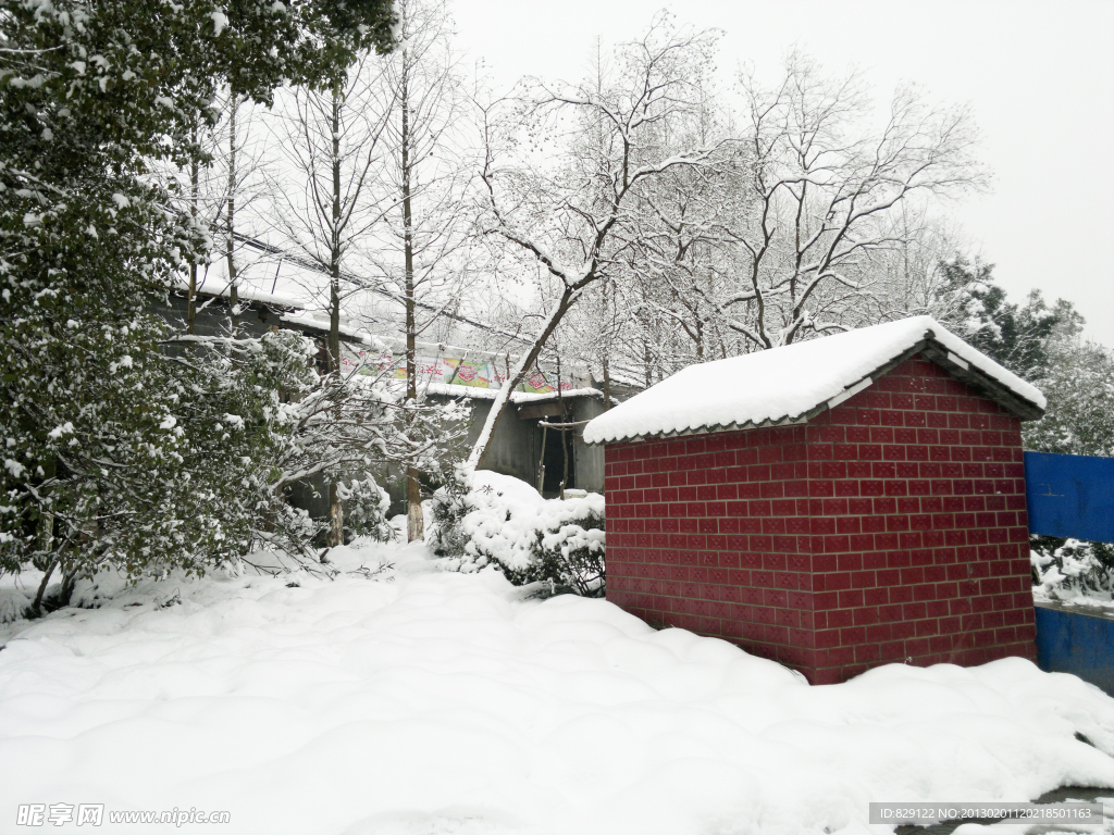 雪景