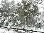 雪景