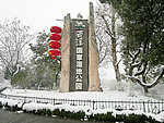 雪景