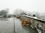 雪景