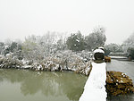 雪景