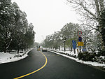 雪景