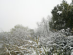 雪景