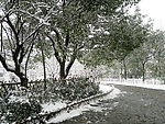 雪景