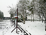 雪景