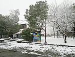 雪景