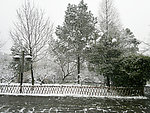 雪景