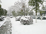 雪景