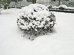 雪景