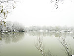 雪景