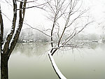 雪景