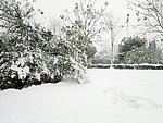 雪景