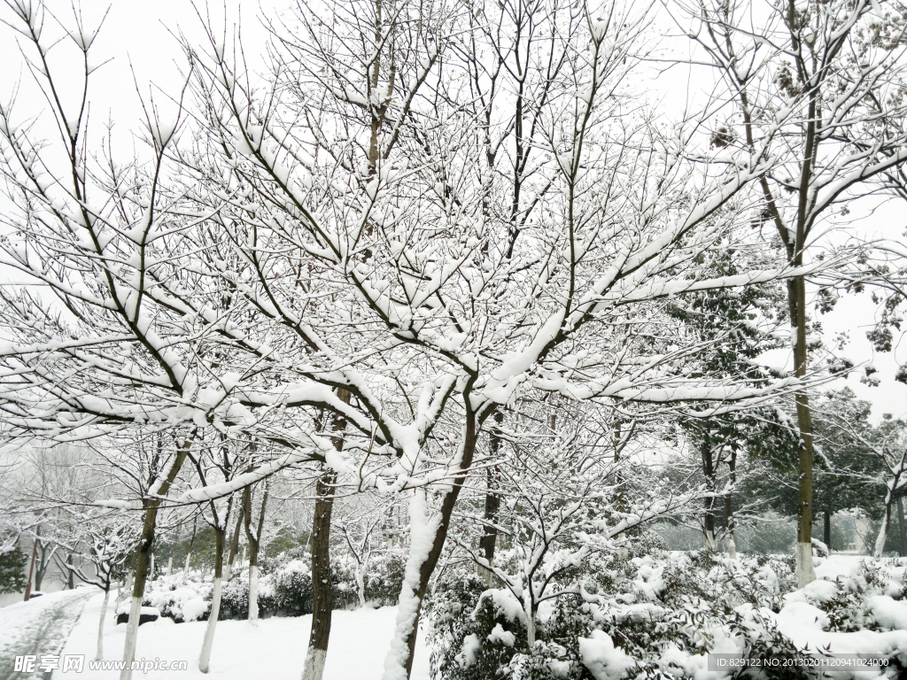 雪景