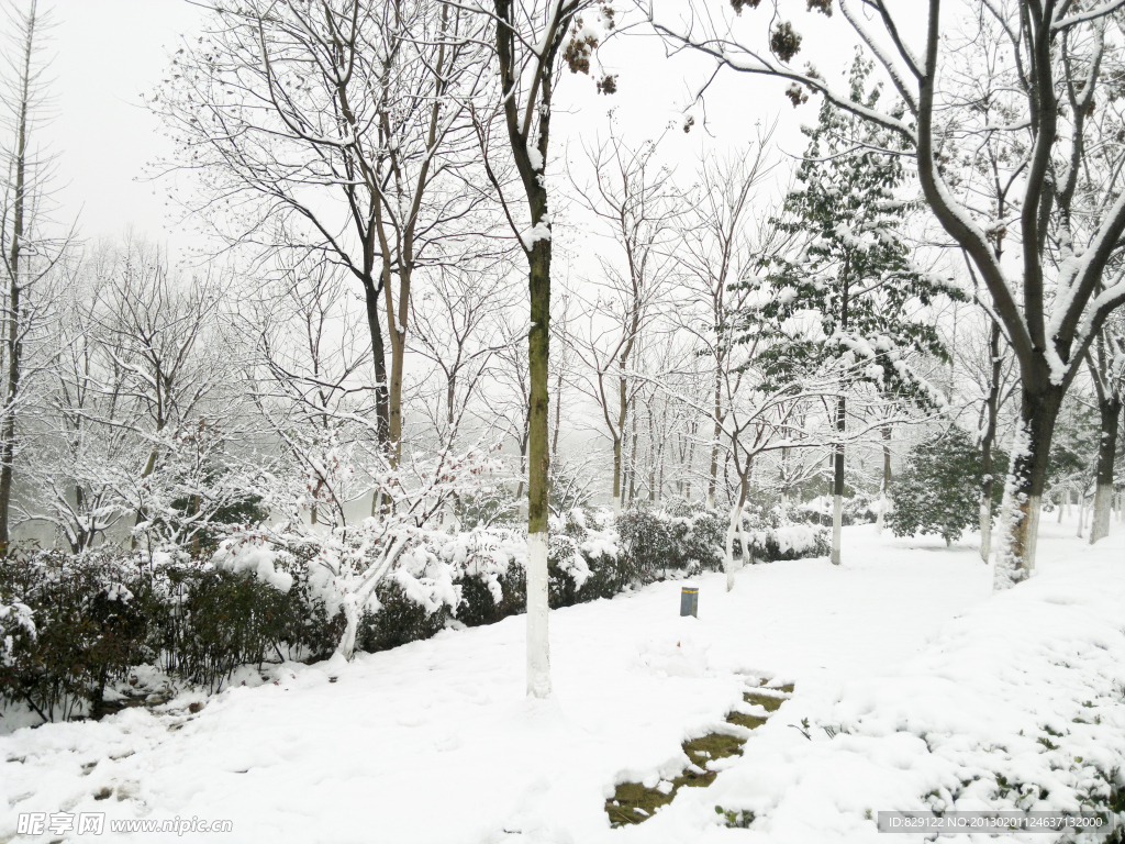 雪景
