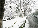 雪景